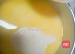 芒果慕斯的做法图解13