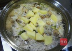 啤酒土豆鸡的做法图解4