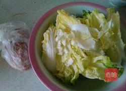 猪肉白菜饺子的做法图解1
