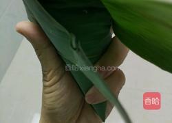 包粽子的做法图解8