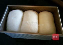 妃娟100％中种北海道醇奶土司的做法图解15