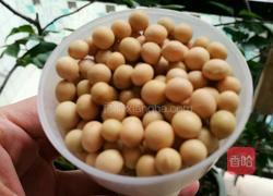 纯豆浆的做法图解1