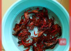 懒人香辣小龙虾的做法图解1