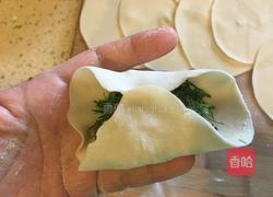猪肉茴香蒸饺的做法图解8