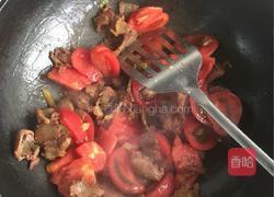西红柿烧牛肉的做法图解3
