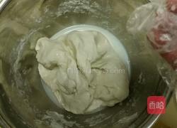 手工凉皮（步骤分解图）的做法图解2