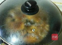红烧素鸡的做法图解8