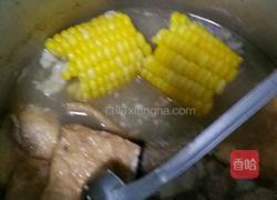 玉米排骨汤的做法图解3