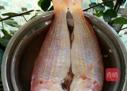 香煎小红杉鱼的做法图解4