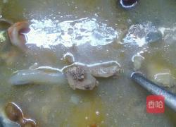 甲鱼鸽子汤的做法图解1