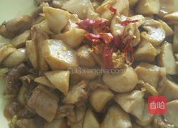 肉炒杏鲍菇的做法图解8