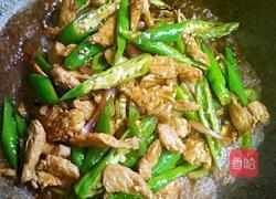 家常小炒肉的做法图解5