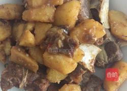 红烧土豆焖羊肉的做法图解3