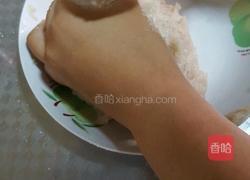 DIY自制鱼丸的做法图解4