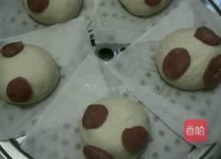 小猪包包的做法图解13