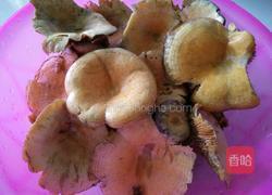 枞树菌瘦肉汤的做法图解1