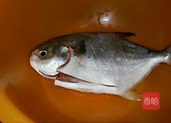 糖醋烧白沧鱼的做法图解1