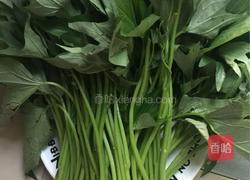 蒜香红薯叶的做法图解1
