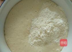 羊肉洋葱蒸包的做法图解4