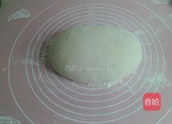 家常葱花饼的做法图解6