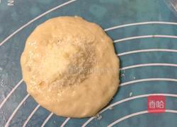 椰蓉花朵面包 冷藏中种法的做法图解7
