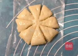 椰蓉花朵面包 冷藏中种法的做法图解9