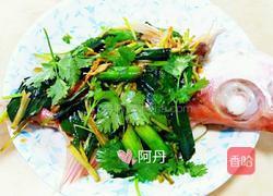 清蒸鲢鱼的做法图解5