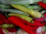 自制泡菜