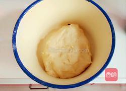 淡奶油小熊挤挤包的做法图解1