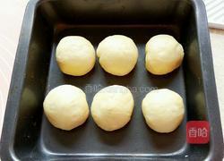 淡奶油小熊挤挤包的做法图解8