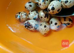 绿豆芽孵鹌鹑蛋的做法图解4