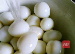 绿豆芽孵鹌鹑蛋的做法图解6