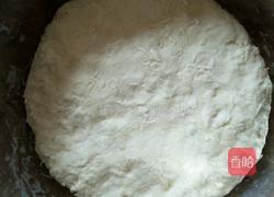 做馒头花卷的做法的做法图解5