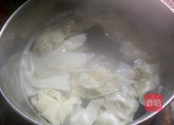 自制云吞（内附云吞包法)的做法图解8