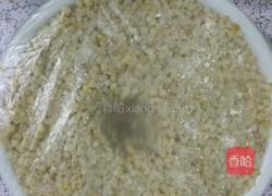麦酵子的做法图解5