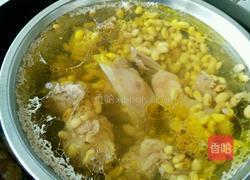 清炖兔肉的做法图解4