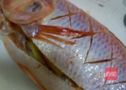红烧珍珠鱼的做法图解2