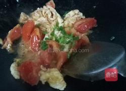 番茄炒蛋的做法图解8