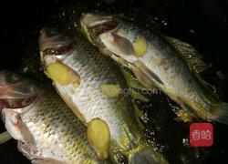 肉片鲫鱼汤的做法图解5