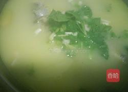 肉片鲫鱼汤的做法图解10