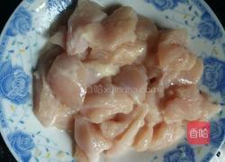 鸡胸肉烧洋葱的做法图解3