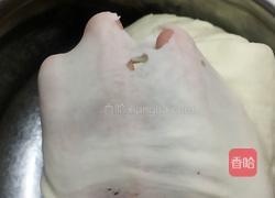 豆沙面包的做法图解3