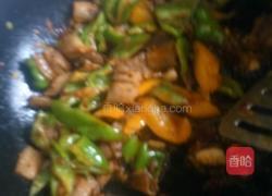 回锅肉的做法图解10