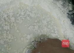 生煎包的做法图解2