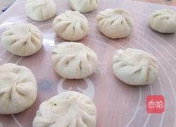虾仁空心菜包子的做法图解14