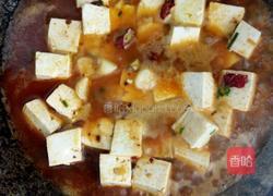青菜炖豆腐的做法图解3