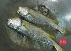 冬菜煮黄花鱼的做法图解6