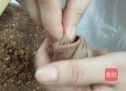 象形核桃酥的做法图解9