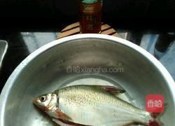 清蒸武昌鱼的做法图解1