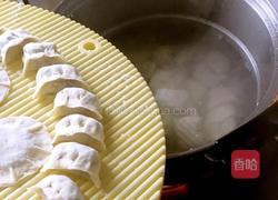 《西瓜皮猪肉饺子》的做法图解24